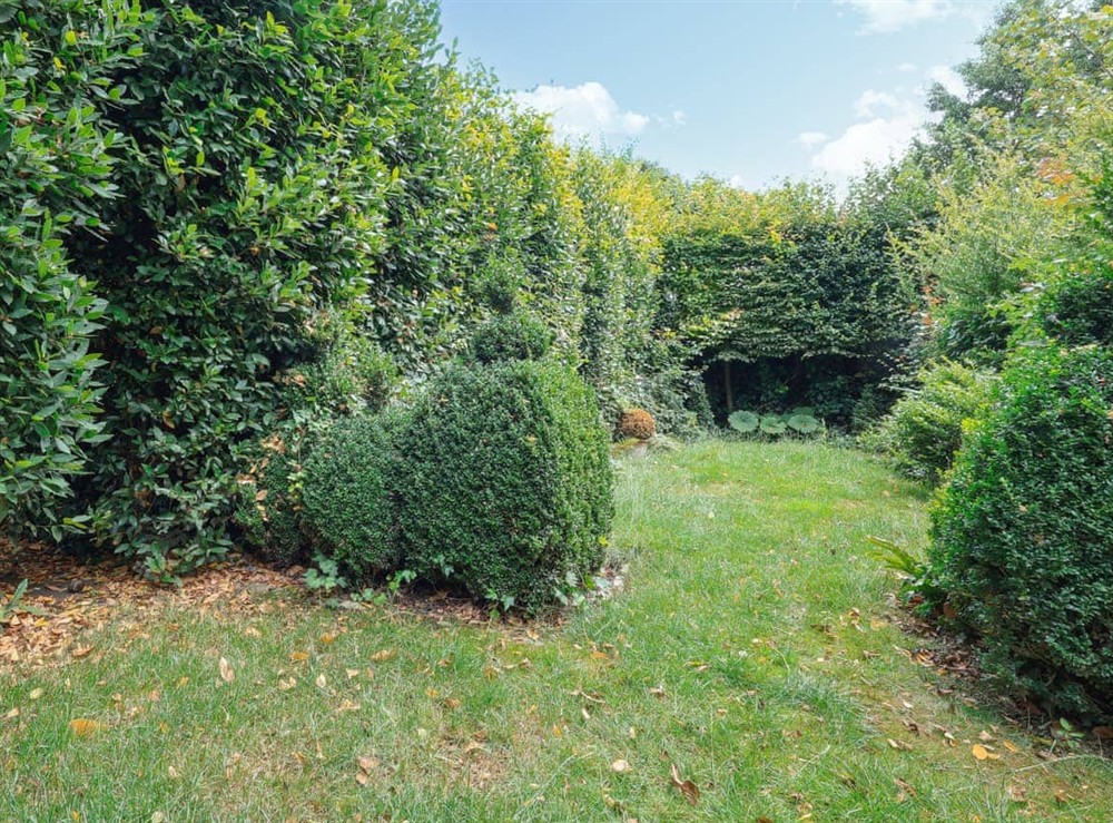 Garden (photo 4) at The Colonel in Bath, Avon