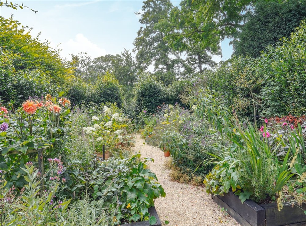 Garden at The Colonel in Bath, Avon