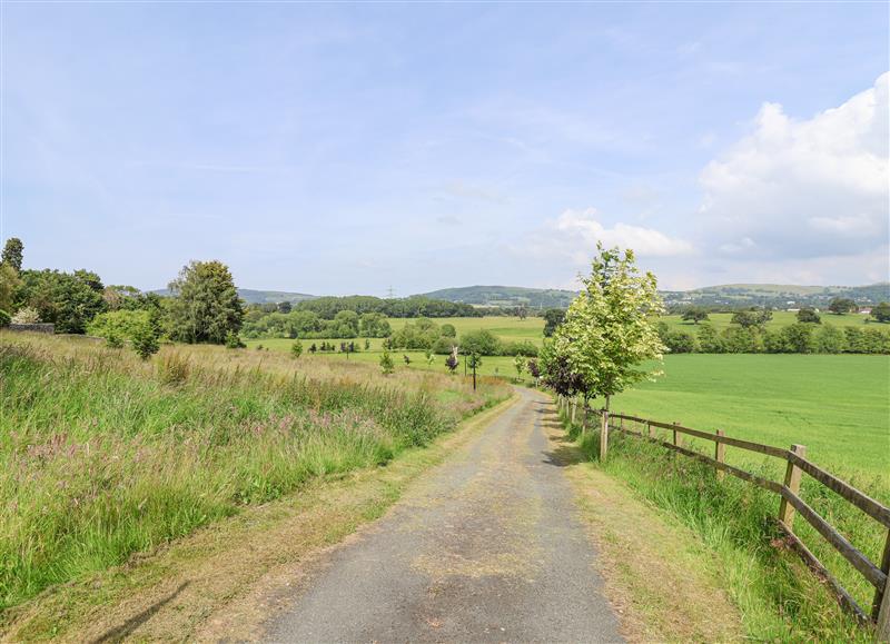 Rural landscape