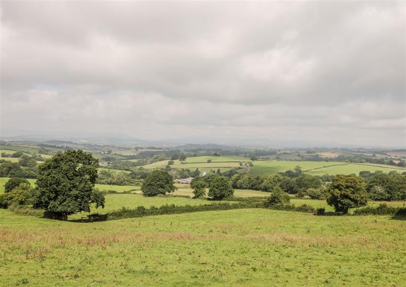 Rural landscape at The Comfy Cow, Llansoy near Raglan