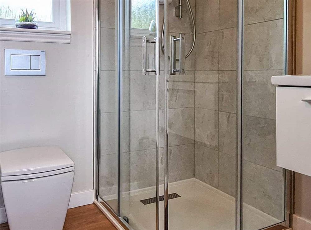 Shower room at The Cosy Cabin in Biggar, Lanarkshire