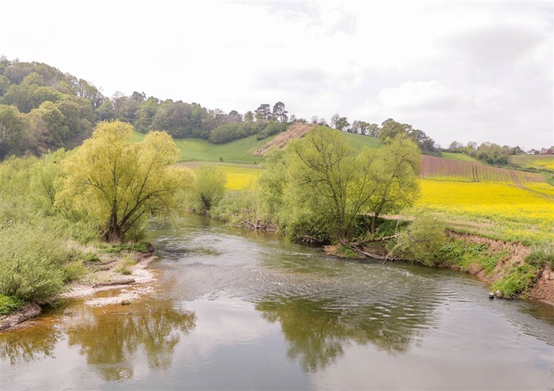 Rural landscape
