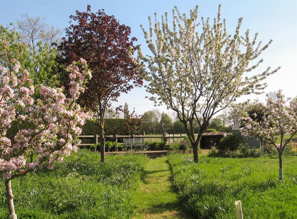 Garden (photo 3) at The Cottage Barn in Burgate, near, Suffolk