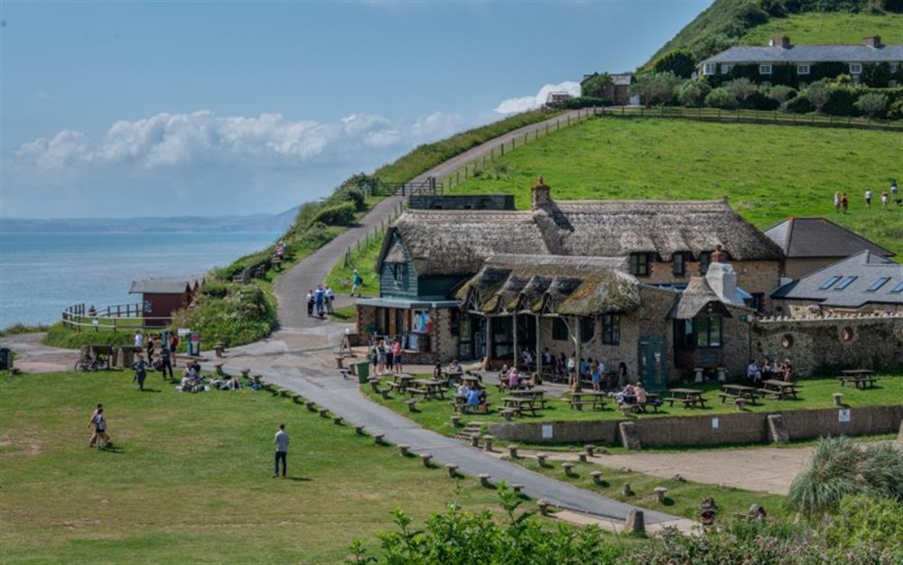 Stunning seaside views at The Cottage in Branscombe