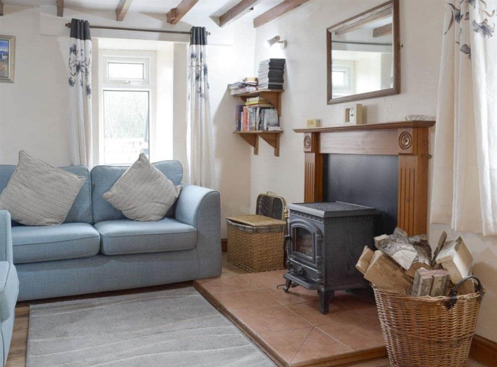Homely living room with wood burner at The Cottage in Cross Hands, near Carmarthen, Dyfed