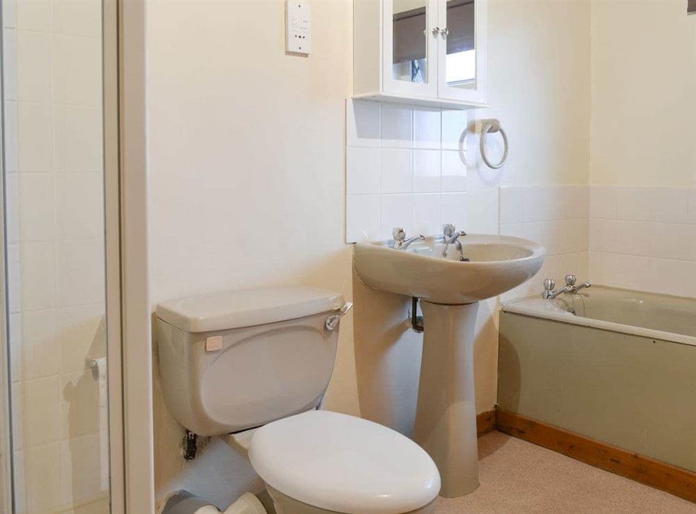 Family bathroom with bath and separate shower cubicle at The Cottage Gallt y Balch in Bodorgan, Gwynedd