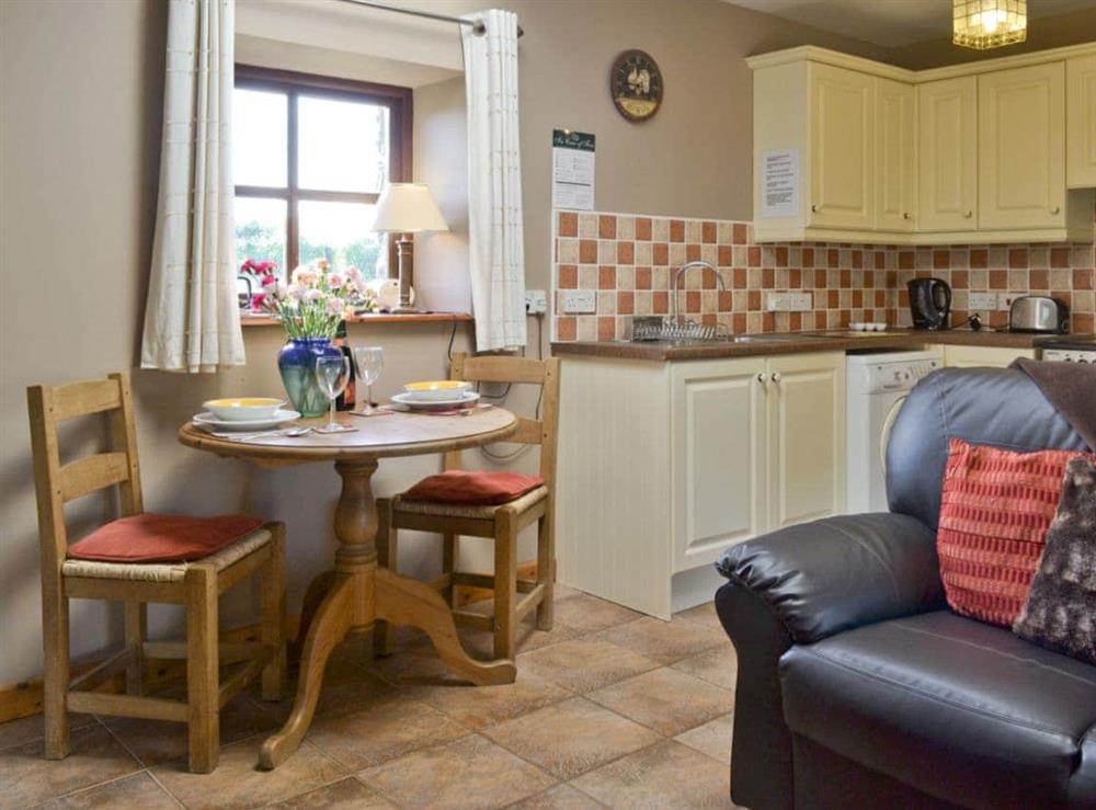 Open plan living/dining room/kitchen (photo 3) at The Cottage in Glynarthen, Nr Cardigan., Dyfed