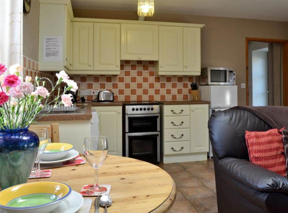 Open plan living/dining room/kitchen (photo 4) at The Cottage in Glynarthen, Nr Cardigan., Dyfed
