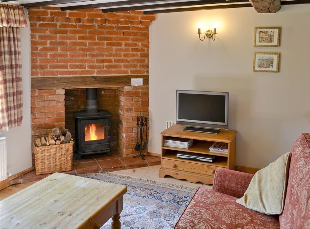 Living room at The Cottage in Great Ellingham, near Attleborough, Norfolk. , Great Britain