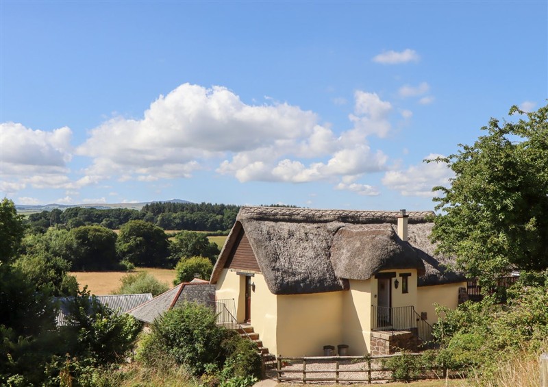 Enjoy the garden at The Cottage, Hatherton near Sampford Courtenay