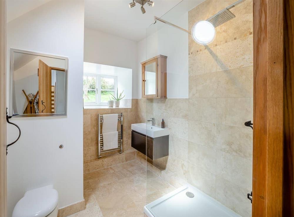Shower room at The Cottage in Llanfair Dyffryn, near Ruthin, Denbighshire