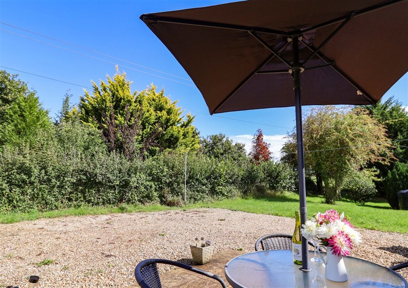 Enjoy the garden (photo 2) at The Cottage Middle Westwater, Westwater Nr Axminster