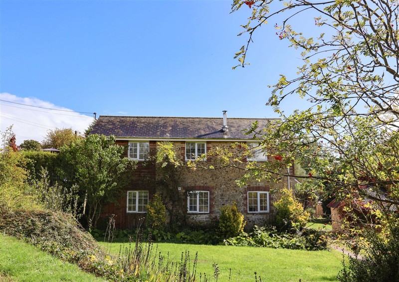 The garden at The Cottage Middle Westwater, Westwater Nr Axminster