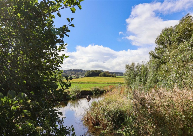 The setting around The Cottage Middle Westwater at The Cottage Middle Westwater, Westwater Nr Axminster