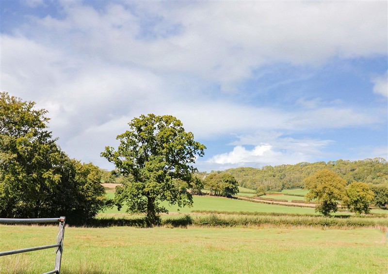 This is the garden (photo 2) at The Cottage Middle Westwater, Westwater Nr Axminster