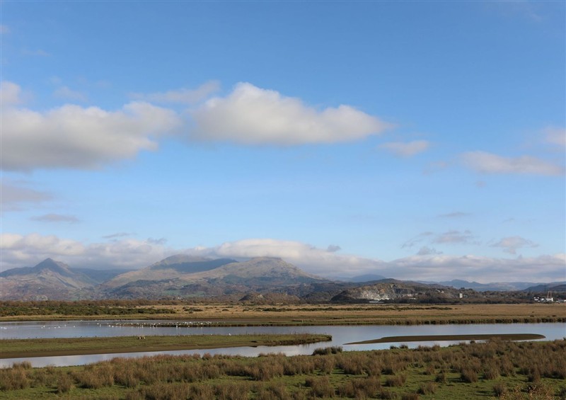 The setting at The Cottage On The Green, Porthmadog