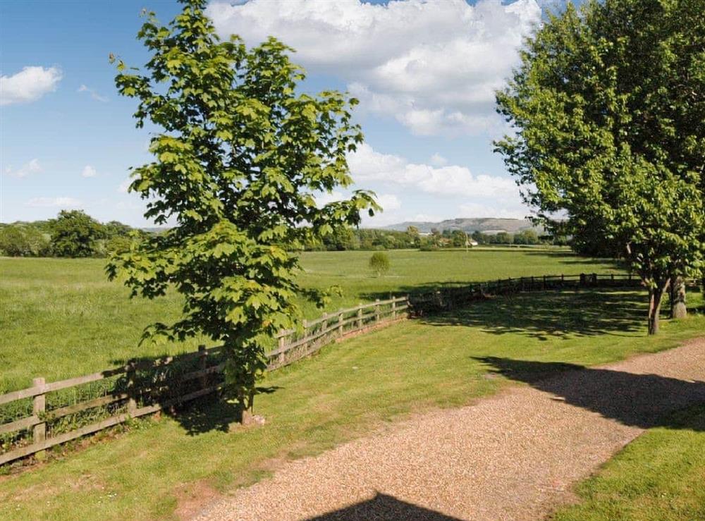 Rural landscape (photo 2) at The Cottage in West Burton, West Sussex
