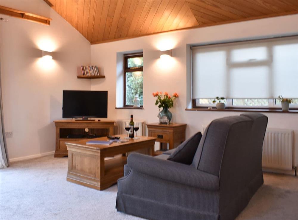 Wonderfully spacious livnig area at The Cottage By The Sea Annexe, 