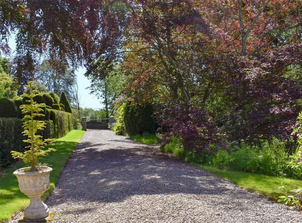 Large grounds at The Courtyard Suite in Pitscandly, near Forfar, Angus