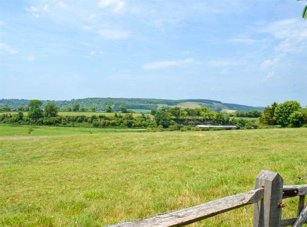 Rural landscape at The Cow Hide in Arundel, West Sussex