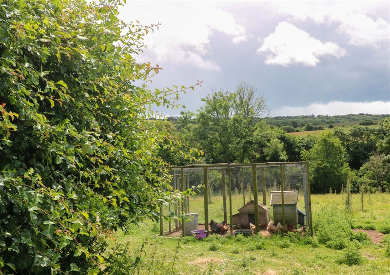 Enjoy the garden at The Cow Shed, Gloweth near Truro