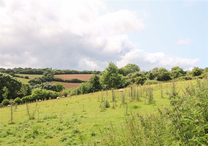 The area around The Cow Shed at The Cow Shed, Gloweth near Truro