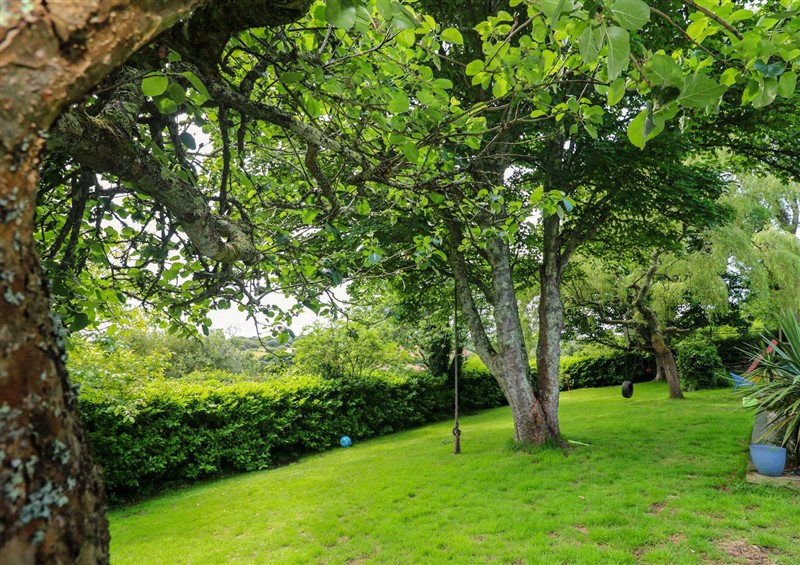 This is the garden at The Cow Shed, Gloweth near Truro