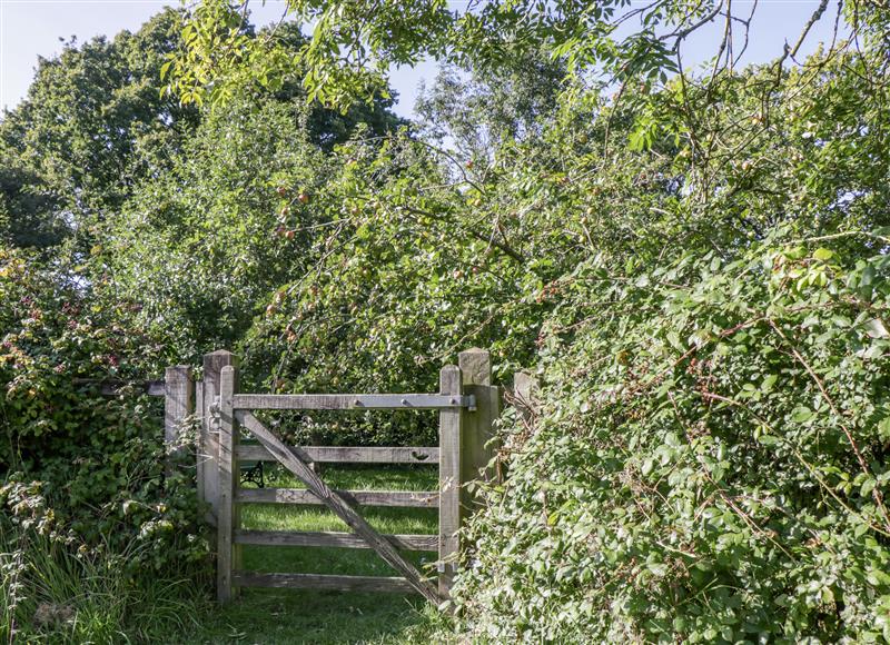 The setting of The Cow Shed