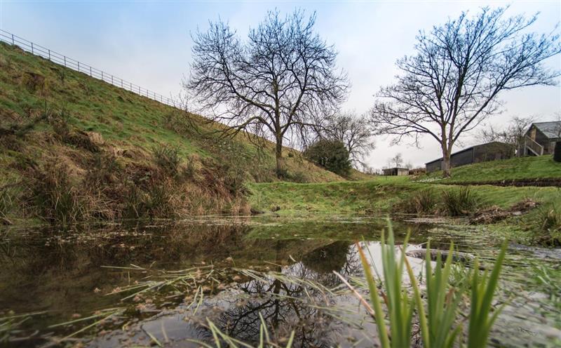 The setting of The Cowshed