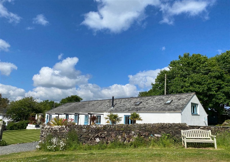 This is the garden at The Cowshed, Portscatho