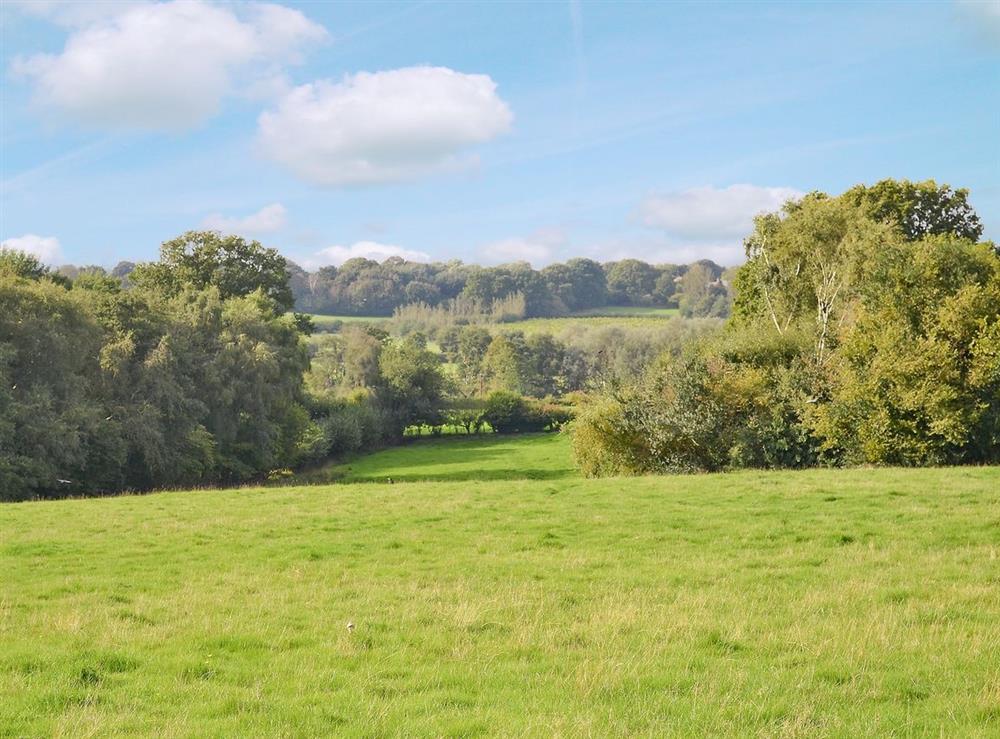 View at The Cowshed in Westfield, East Sussex