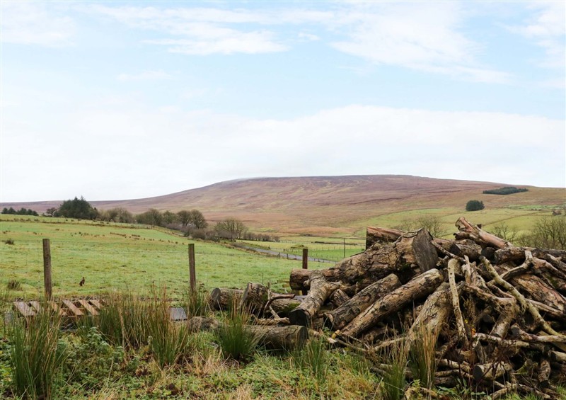 Enjoy the garden at The Croft, Newtown-Crommelin near Cloughmills