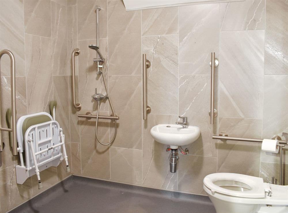 Wet room with shower, toilet, grab rails and shower seat