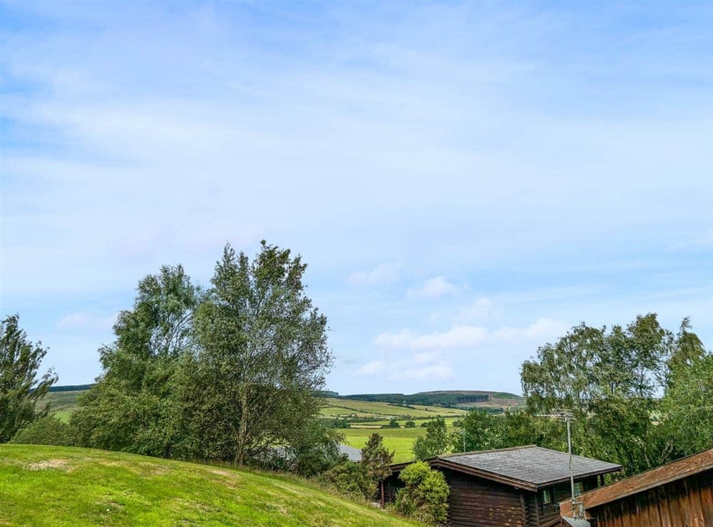 View at The Curious Stag in Rothbury, Northumberland