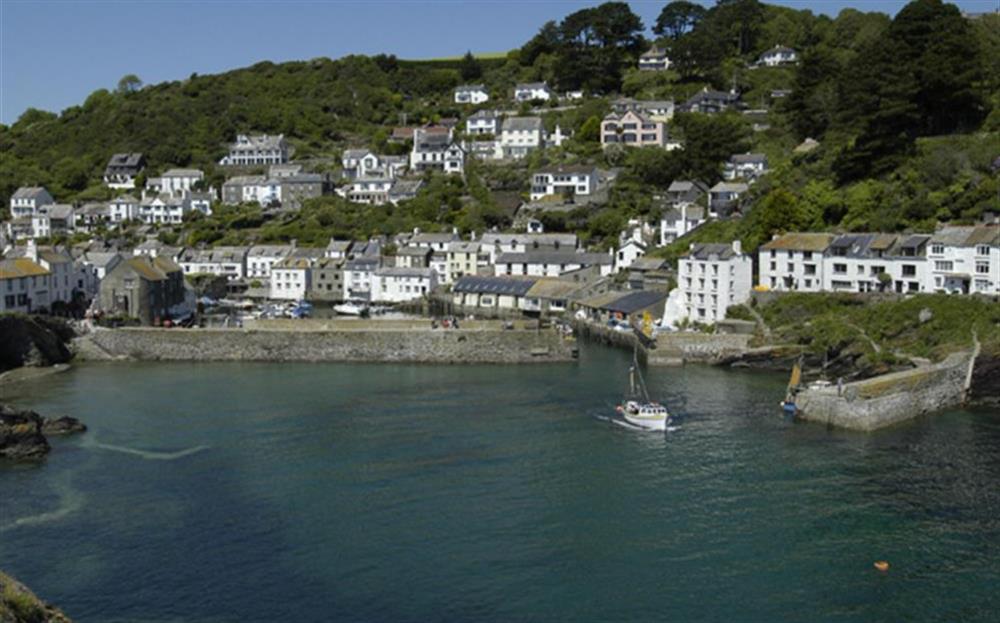 Sea trips from both Looe and Polperro at The Cutch in Looe