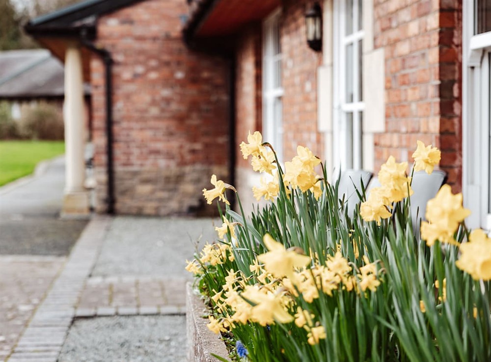 Exterior at The Cwm Retreat in Dorrington, Shropshire