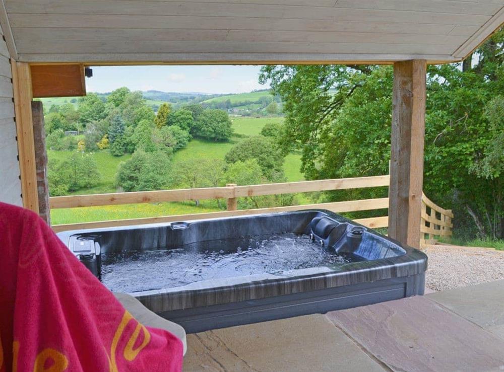 Hot tub (photo 2) at The Cwtch in Newtown, Powys