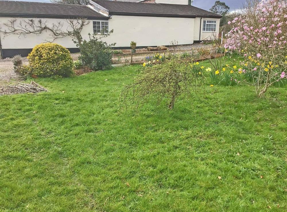 Garden and grounds (photo 4) at The Dairy Barn in Westleigh, near Tiverton, Devon