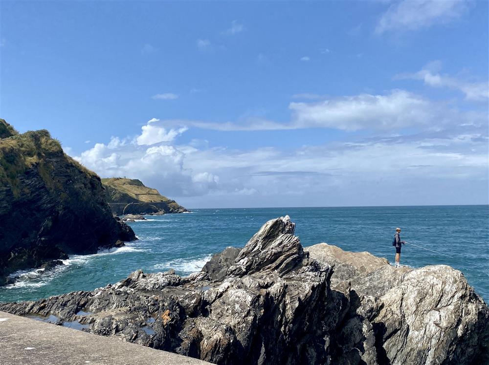 Ilfracombe is popular for fishing around the harbour at The Dairy, Braunton 