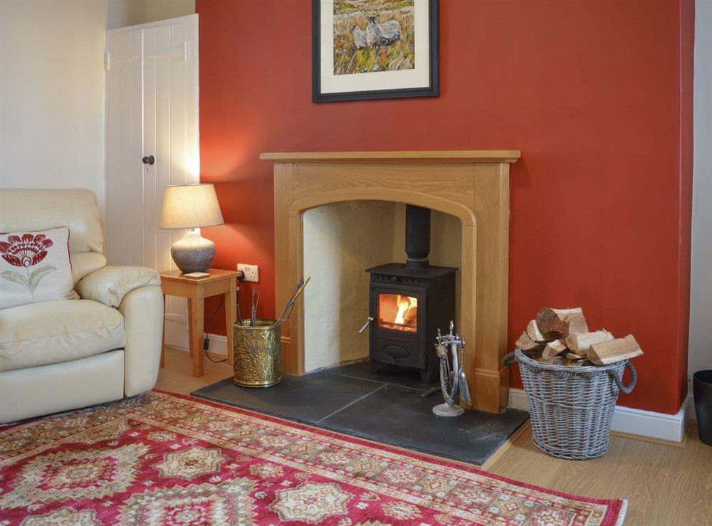 Welcoming living room with wood burner at The Dairy House in Newton Stewart, near Wigtown, Wigtownshire
