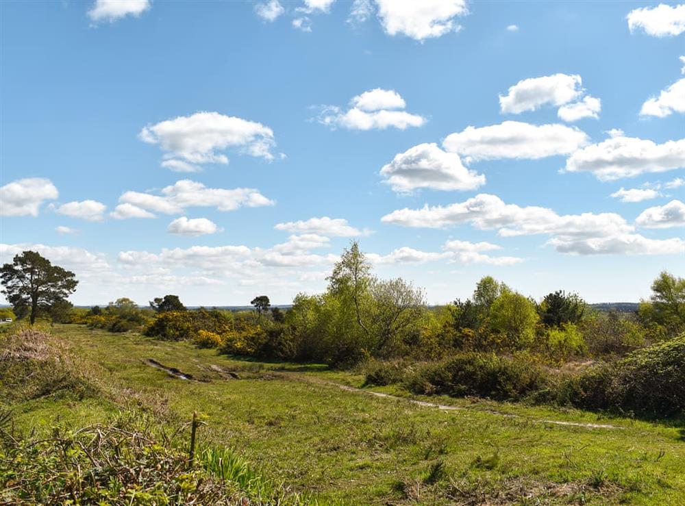 Surrounding area at The Dairy in Mannington, Dorset