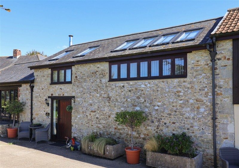 Outside at The Dairy, Wyke Nr. Axminster