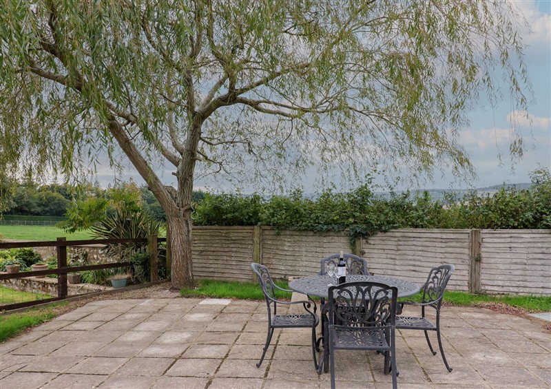 This is the garden at The Dairy, Wyke Nr. Axminster
