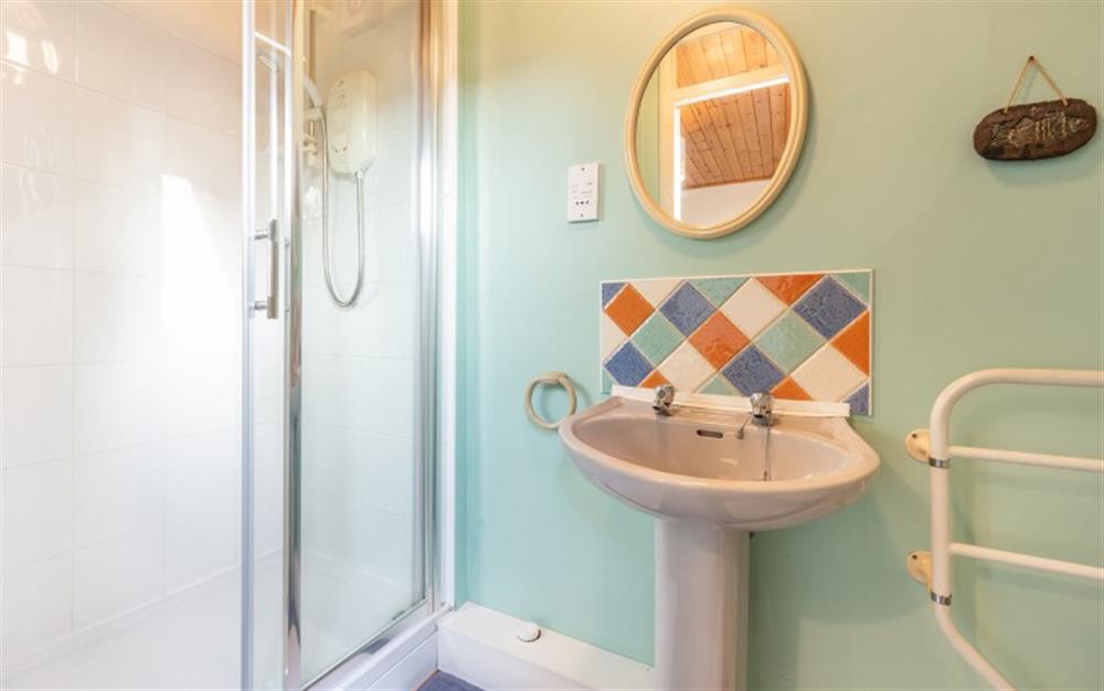 Another look at the shower room at The Dell Studio Apartment in Salcombe