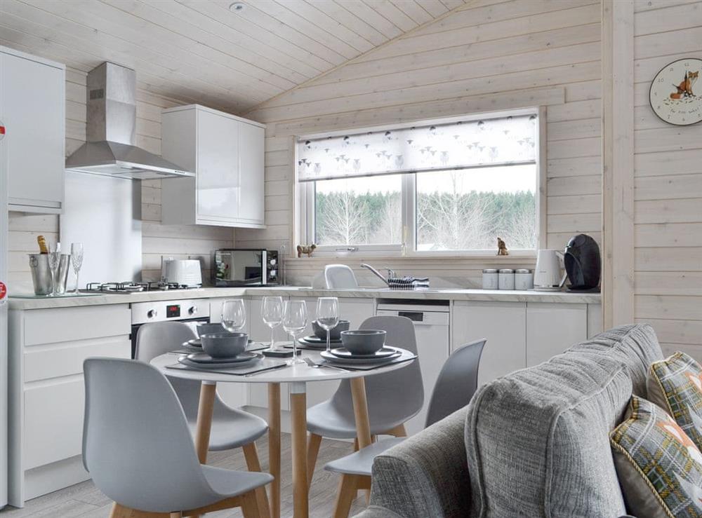 Fully equipped kitchen with dining area within the open-plan design at The Den in Glentruim, near Newtonmore, Inverness-Shire