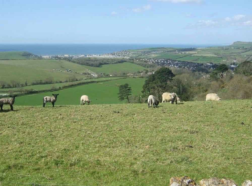 View from hill behind property at The Dipping Well in Bothenhampton, near Bridport, Dorset
