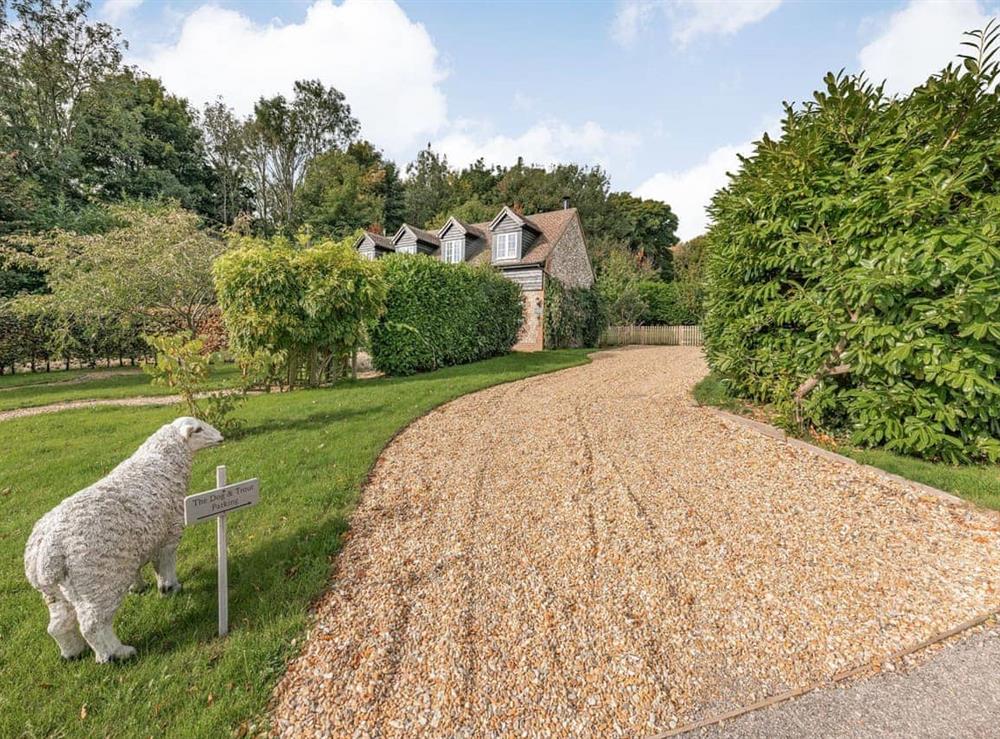 Driveway at The Dog and Trout in North End, West Sussex