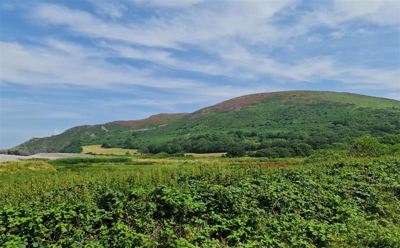 Rural landscape