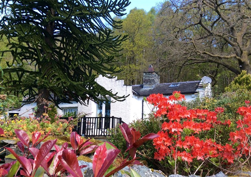 This is the garden at The Dove Cot, Clappersgate near Ambleside