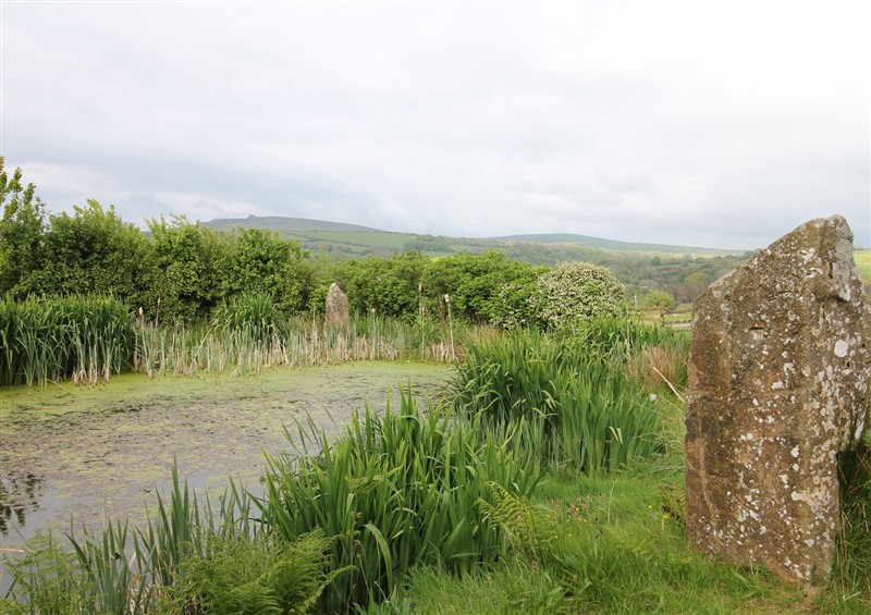 The garden in The Dovecote (photo 2) at The Dovecote, Llanychaer near Fishguard